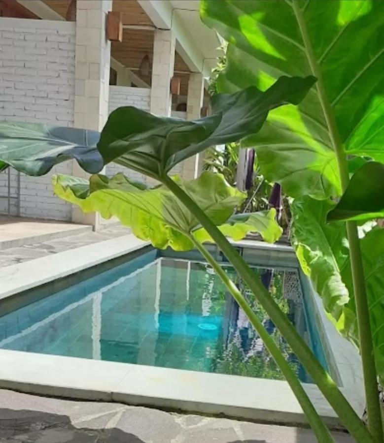Surya Lombok Accommodation Selong Belanak Εξωτερικό φωτογραφία