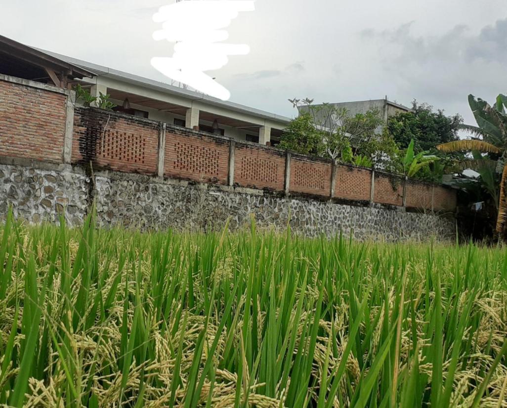 Surya Lombok Accommodation Selong Belanak Εξωτερικό φωτογραφία