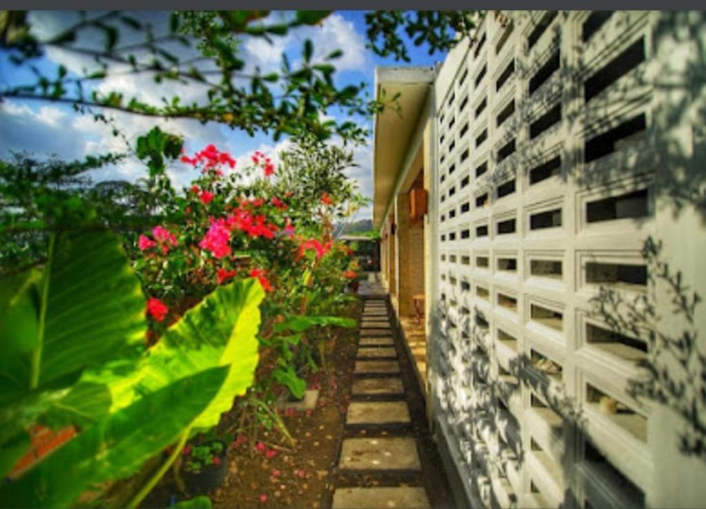 Surya Lombok Accommodation Selong Belanak Εξωτερικό φωτογραφία